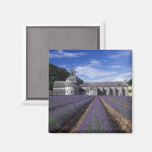 Senanque Abbey, Gordes, Vaucluse, Provence Magneet (Voorkant / Achterkant)