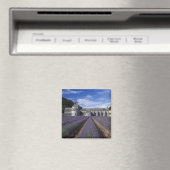 Senanque Abbey, Gordes, Vaucluse, Provence Magneet (Insitu (Vaatwasser))