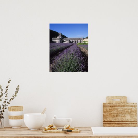 Senanque Abbey, Gordes, Vaucluse, Provence Poster (Keuken)