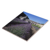 Senanque Abbey, Gordes, Vaucluse, Provence Tegeltje (Zijkant)