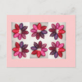 Senator: Ik kan het niet zeggen, maak er geen wett Briefkaart (Voorkant)