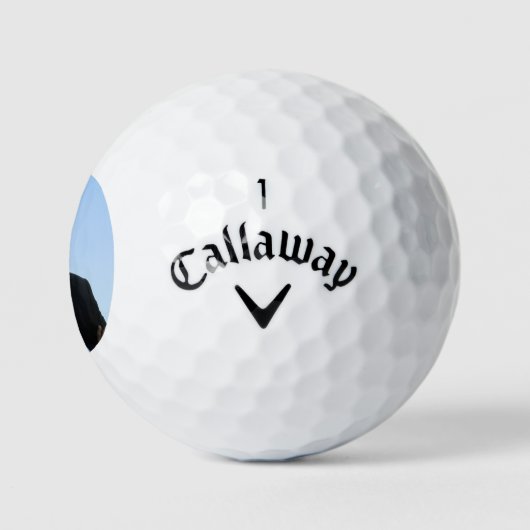 Senator Portrait, Amerikaans President Barack Obam Golfballen (Logo)