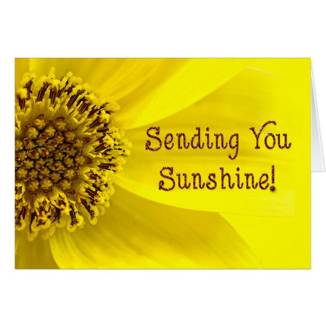 Sending Sunshine - SUNFLOWER - BRIGHT (Voorkant Horizontaal)