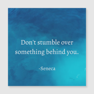 Seneca: Focus vooruit, niet op het verleden struik