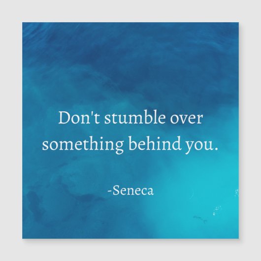 Seneca: Focus vooruit, niet op het verleden struik (Voorkant)
