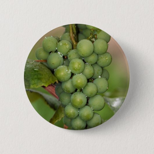 Seneca Grapes Ronde Button 5,7 Cm (Voorkant)