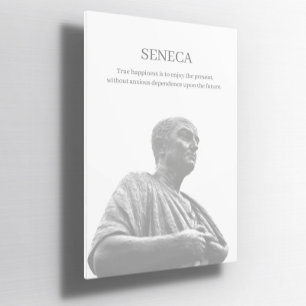 Seneca inspirerend quote Poster