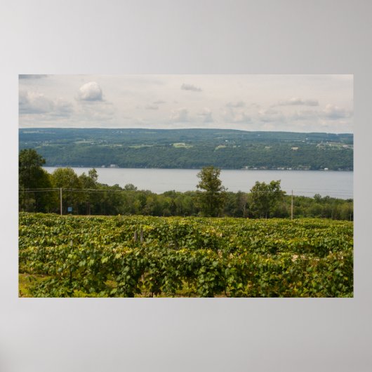 Seneca Lake en Vineyards, New York Poster (Voorkant)