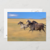 Seneca, Oregon, Verenigde Staten Briefkaart (Voorkant / Achterkant)