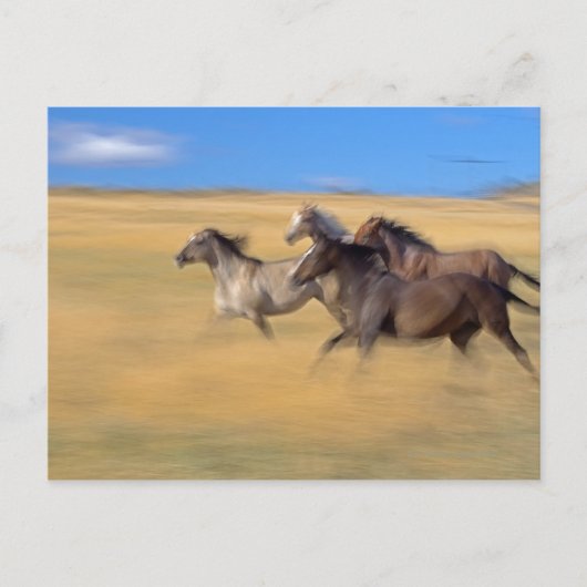 Seneca, Oregon, Verenigde Staten Briefkaart (Voorkant)