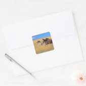 Seneca, Oregon, Verenigde Staten Vierkante Sticker (Envelop)