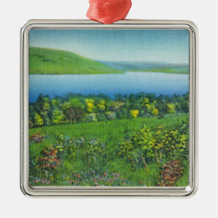 Seneca Point-Uitzicht van het meer Metalen Ornament