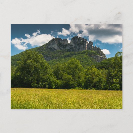 Seneca Rocks in de zomer, West Virginia Briefkaart (Voorkant)