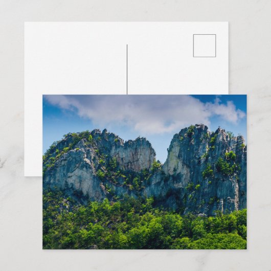 Seneca Rocks in de zomer, West Virginia Briefkaart (Voorkant / Achterkant)
