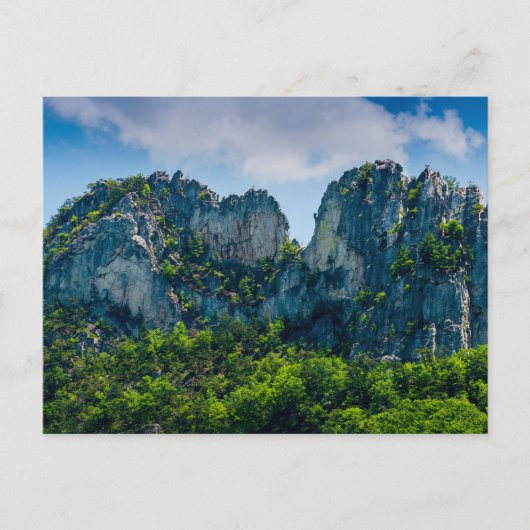 Seneca Rocks in de zomer, West Virginia Briefkaart (Voorkant)
