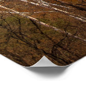 Seneca Rocks in Herfsten, West Virginia Poster (Hoek)