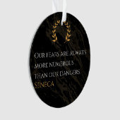 Seneca's Insight: Angsten in vergelijking met echt Ornament (voorkant)