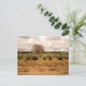 Senegal Briefkaart (Staand voorkant)