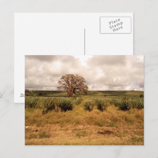 Senegal Briefkaart (Voorkant / Achterkant)