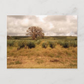 Senegal Briefkaart (Voorkant)