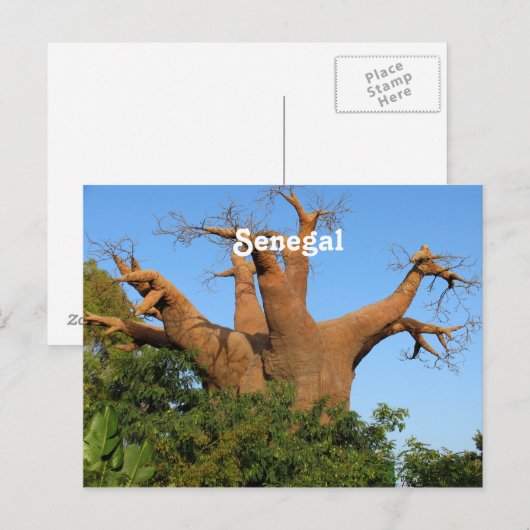 Senegal Briefkaart (Voorkant / Achterkant)