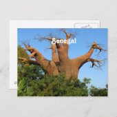 Senegal Briefkaart (Voorkant / Achterkant)