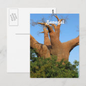 Senegal Briefkaart (Voorkant / Achterkant)