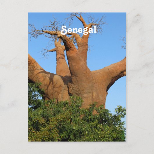 Senegal Briefkaart (Voorkant)