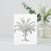 Senegal Date Palm Briefkaart (Staand voorkant)