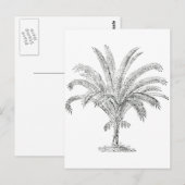 Senegal Date Palm Briefkaart (Voorkant / Achterkant)