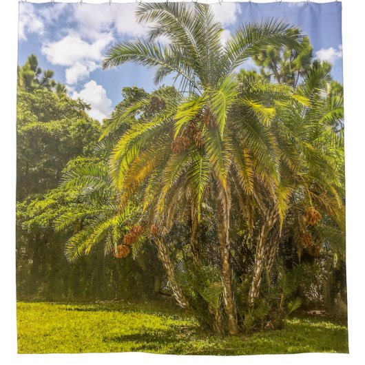 Senegal Date Palm Shower Curtain Douchegordijn (Voorkant)
