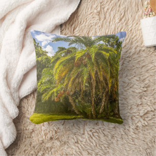 Senegal Date Palm Sierkussen