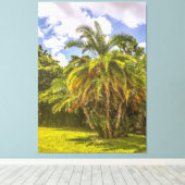 Senegal Date Palm Stretched Canvas Afdrukken (Insitu (Houten vloer))
