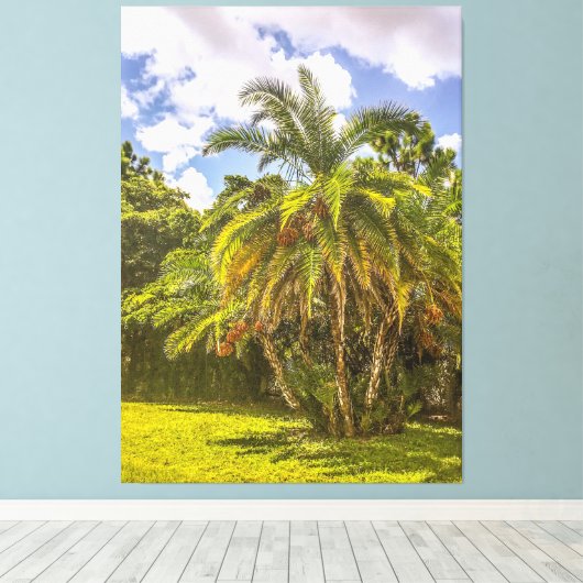 Senegal Date Palm Stretched Canvas Afdrukken (Insitu (Houten vloer))