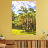 Senegal Date Palm Stretched Canvas Afdrukken (Insitu (Woonkamer))