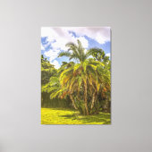 Senegal Date Palm Stretched Canvas Afdrukken (Voorkant)