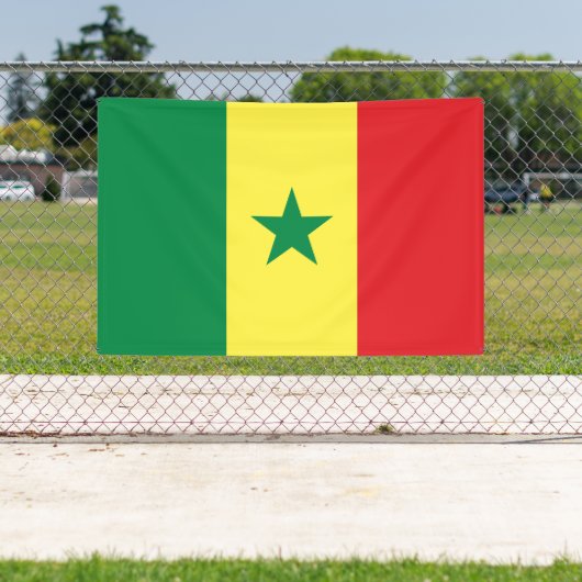 Senegal Flag Spandoek (Insitu)