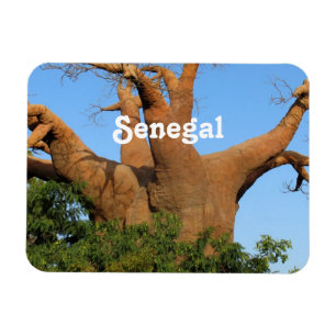 Senegal Magneet