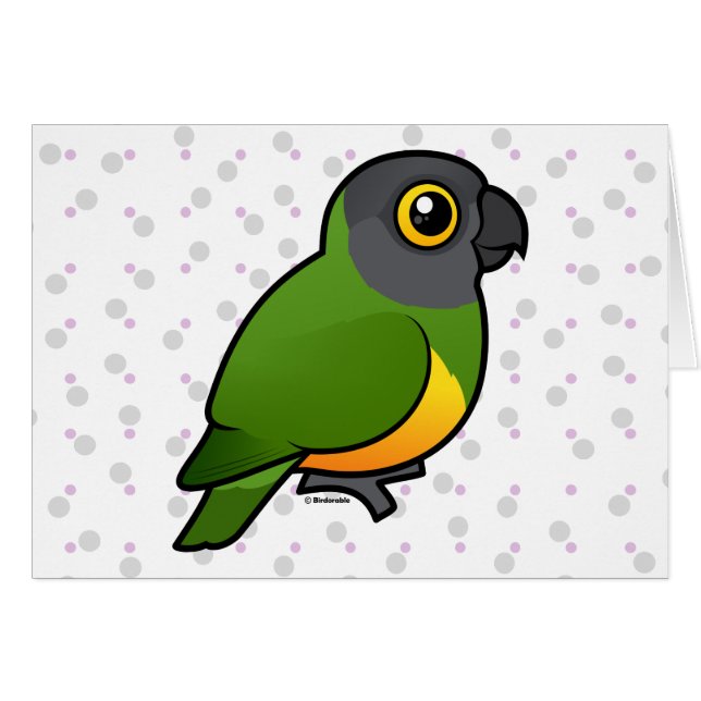 Senegal Parrot (Voorkant Horizontaal)