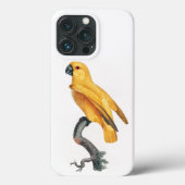 Senegal Parrot Case-Mate iPhone Case (Achterkant)