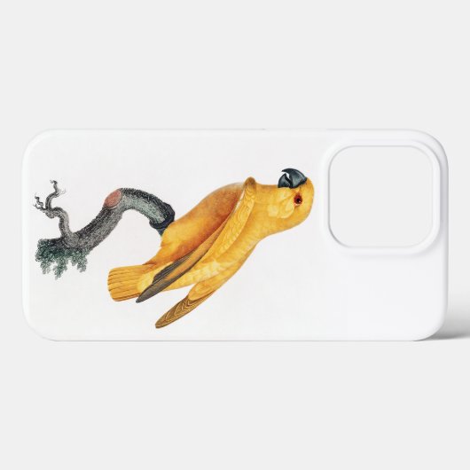 Senegal Parrot Case-Mate iPhone Case (Achterkant (horizontaal))