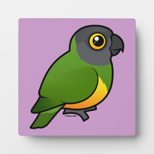 Senegal Parrot Fotoplaat (Voorkant)