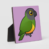 Senegal Parrot Fotoplaat (Voorkant)