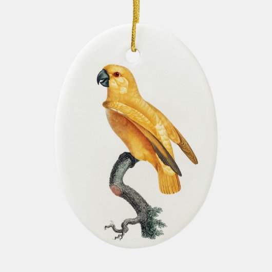 Senegal Parrot Keramisch Ornament (Voorkant)