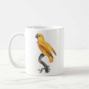Senegal Parrot Koffiemok