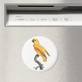Senegal Parrot Magneet (Insitu (Vaatwasser))