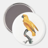 Senegal Parrot Magneet (Voorkant / Achterkant)