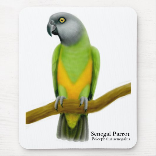 Senegal Parrot Mousepad Muismat (Voorkant)