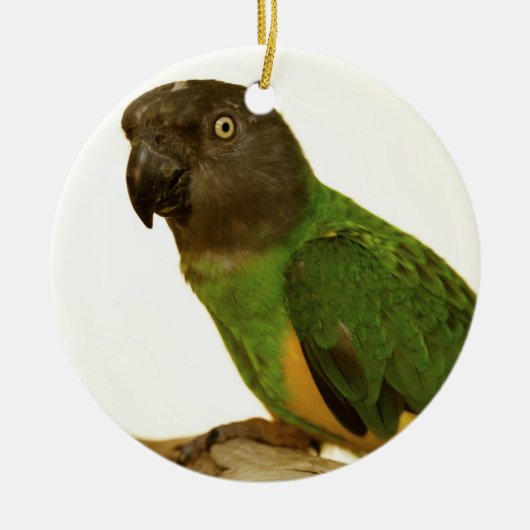 Senegal Parrot Ornament (Voorkant)