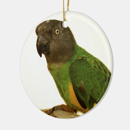 Senegal Parrot Ornament (Links)